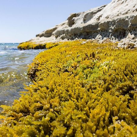 Casotto Il Carrubo, A 100 Mt Dal Mare! Vila Avola Exterior foto