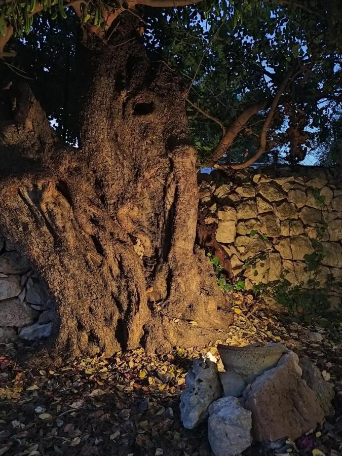Casotto Il Carrubo, A 100 Mt Dal Mare! Vila Avola Exterior foto