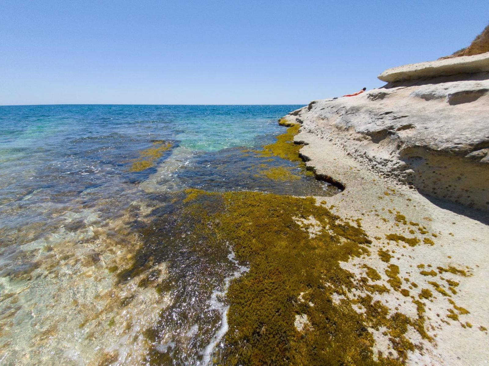 Casotto Il Carrubo, A 100 Mt Dal Mare! Vila Avola Exterior foto