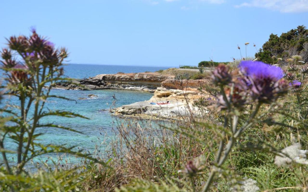 Casotto Il Carrubo, A 100 Mt Dal Mare! Vila Avola Exterior foto